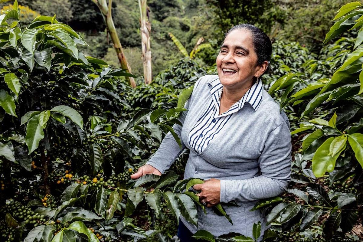 Learning from 2021 and Reflecting on the Future of Coffee