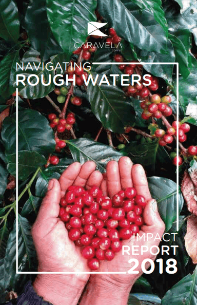 Navigating Rough Waters Impact Report 2018