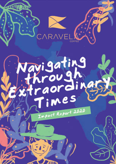 Navigating through Extraordinary Times Impact Report 2020
