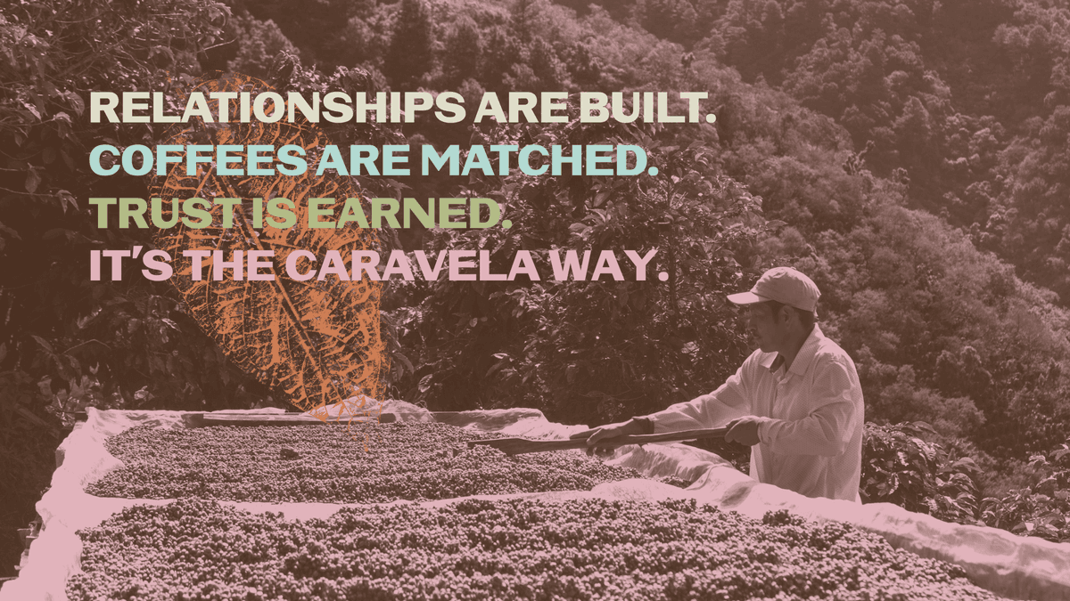Caravela Responds to Misrepresentations in Coffee Intelligence Articles