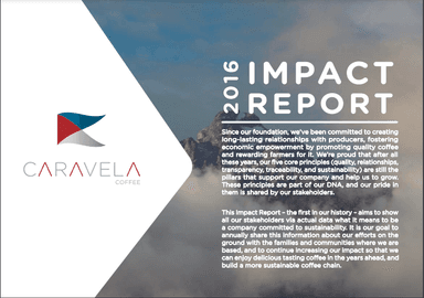 Cover for 2016 impact report