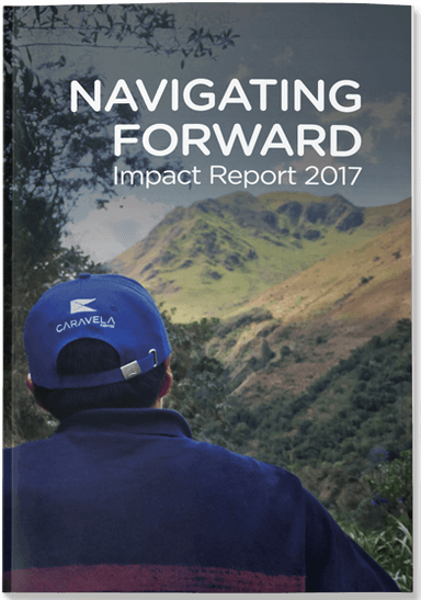Cover for 2017 impact report